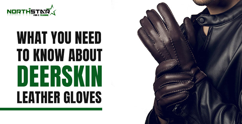 What Should You Know About Deerskin Gloves